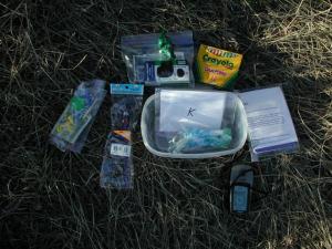 Cache Contents