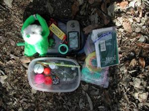 Cache Contents