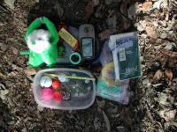 Cache Contents