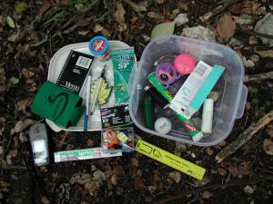 Cache Contents