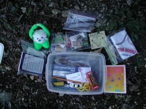 Cache Contents