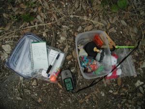 Cache Contents