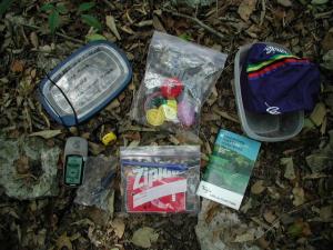 Cache Contents