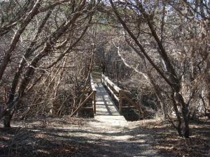 Bridges