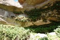 Fern Cave