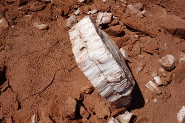 Gypsum Crystals