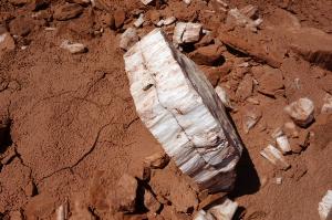 Gypsum Crystals
