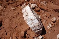 Gypsum Crystals