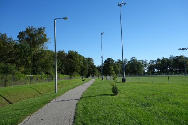 Another View Of The Trail