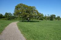 View Of The Trail