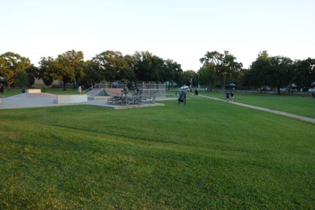 View Of The Park