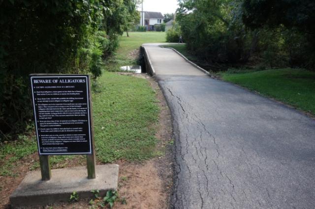View Of The Trail