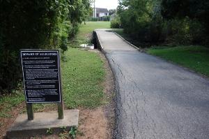 View Of The Trail