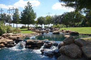 Another View Of The Water Garden
