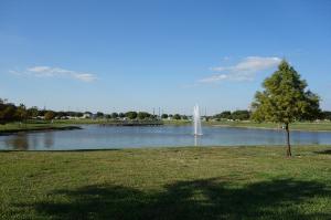 Pond