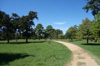 View Of The Trail