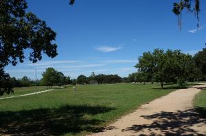 Disc Golf