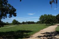 Disc Golf