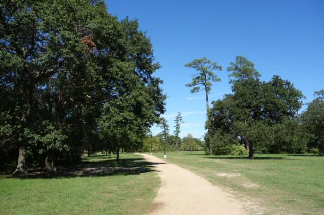 Another View Of The Trail