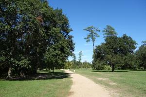 Another View Of The Trail