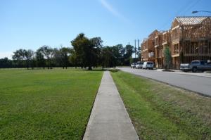 View Of The Trail