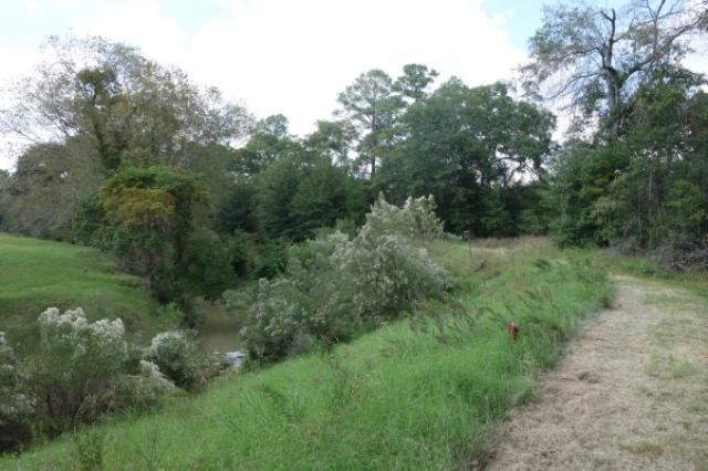 Another View Of The Trail