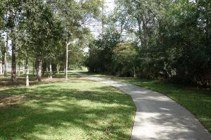 View Of The Trail