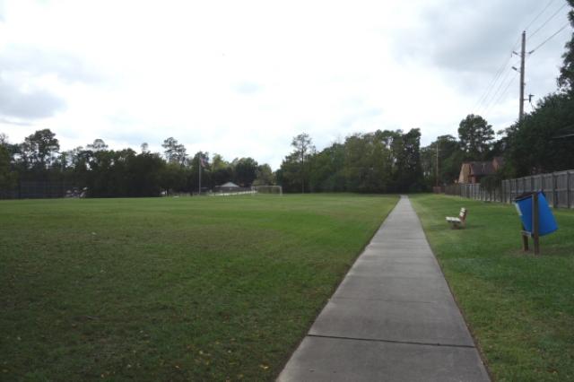 Another View Of The Trail
