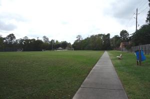 Another View Of The Trail