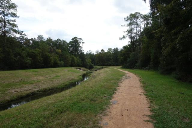 View Of The Trail