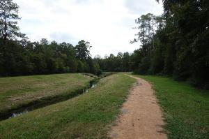 View Of The Trail
