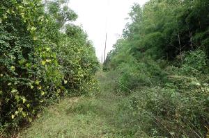 Another Future Trail
