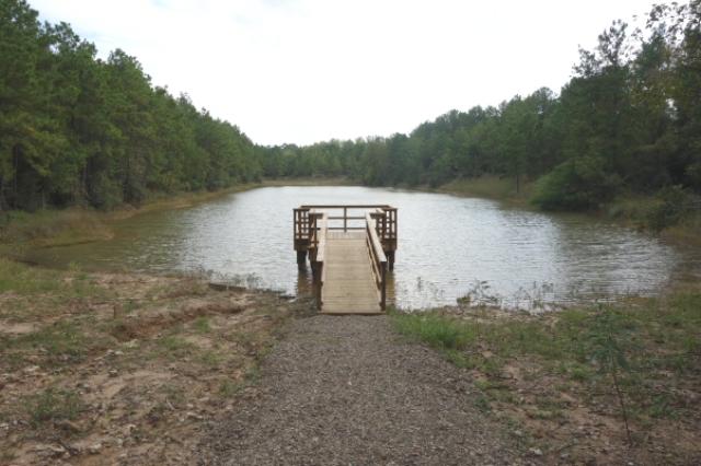 Beaver Pond
