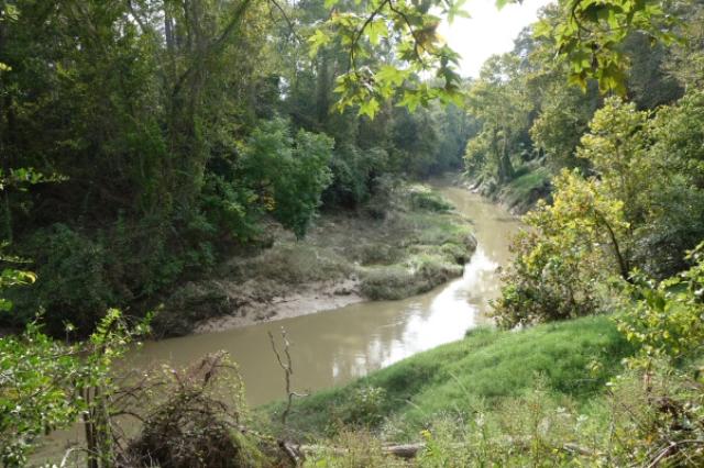 Cypress Creek