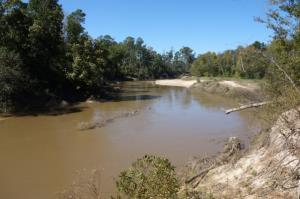 Spring Creek