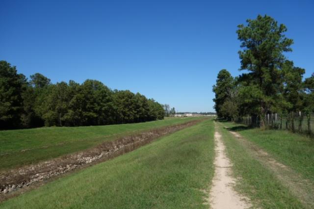 View Of The Trail
