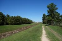 View Of The Trail