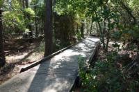 Another View Of The Trail