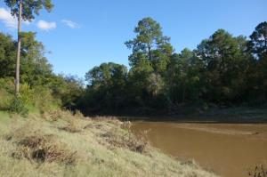 Spring Creek
