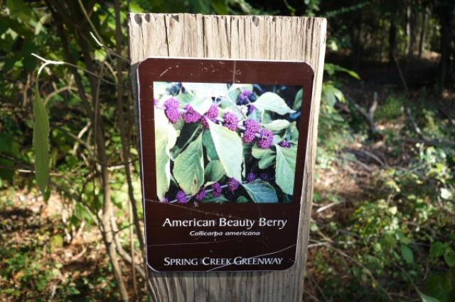 Nature Trail