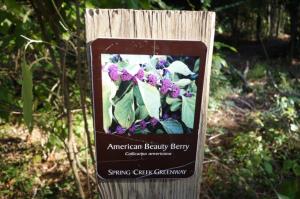 Nature Trail
