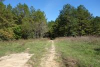 Trailhead