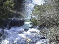 This Is The Small Dam,The Other Picture Is Beaver Damage OOPs