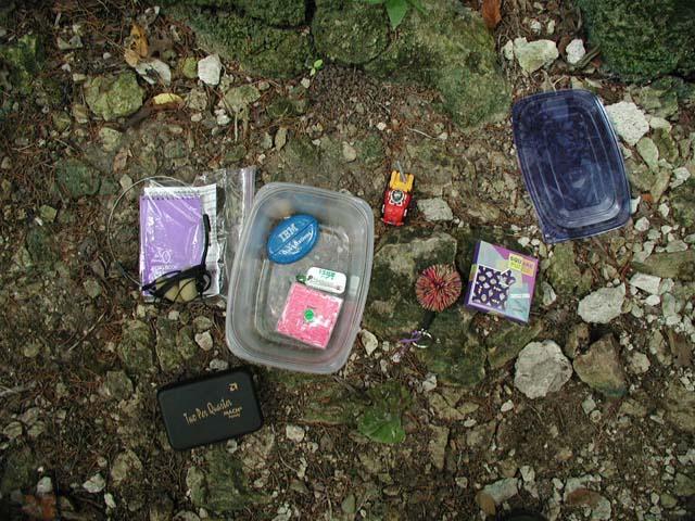 Cache Contents