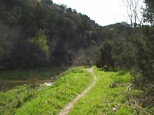 Greenery