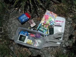 Cache Contents