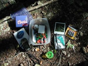 Cache Contents