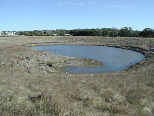Pond