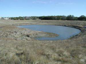 Pond
