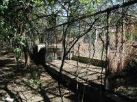 Rows of these cages held lions and alligators.